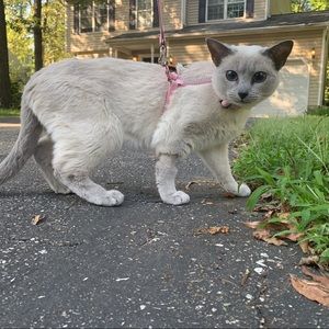 Meet your Posher, Logan